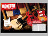 Monitor blank