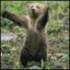 Avatar for clare_bear
