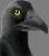 Avatar for Archdukecorvus